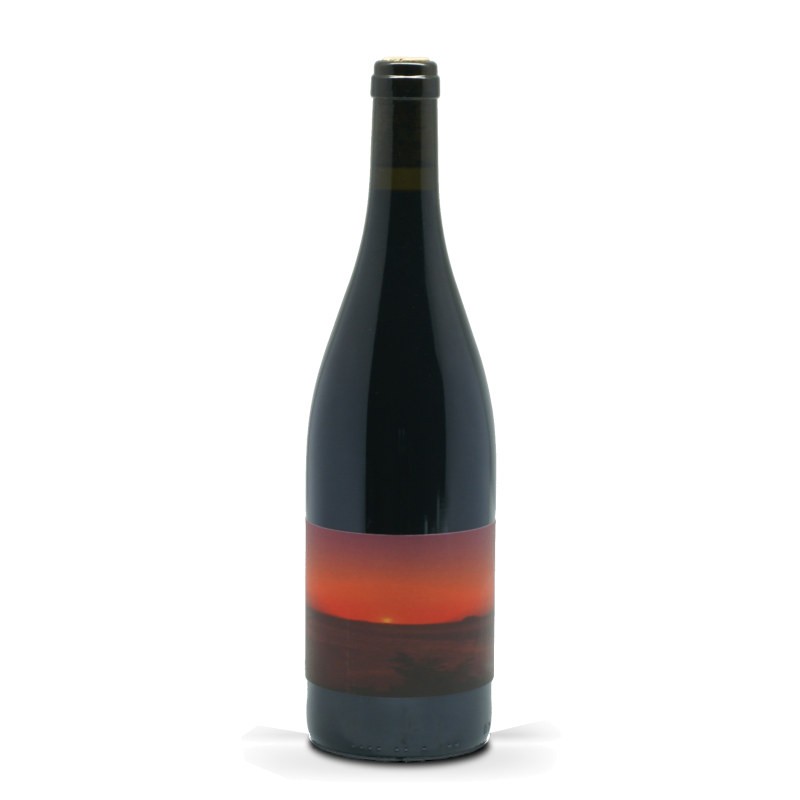 Cantina di Torra Patrimonio rouge Albore 2022 Cantina di Torra Patrimonio rouge Albore 2022