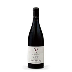 Domaine Elodie Roy Maranges Le Goty 2023