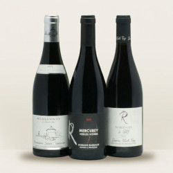 Coffret vins de Bourgogne : l'itinéraire rouge du Pisteur de Crus