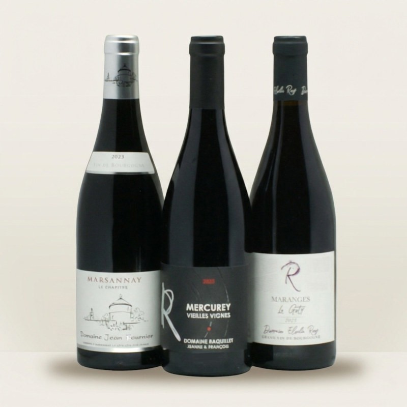 Coffret vins de Bourgogne à offrir