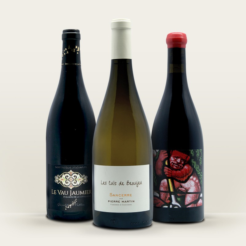 Domaine Martin Sancerre | Le Vau Jaumier |coffret vin de Loire Domaine Martin Sancerre | Le Vau Jaumier |coffret vin de Loire