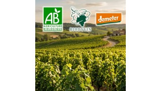 Bio vs biodynamique : la vraie différence expliquée par un caviste WSET