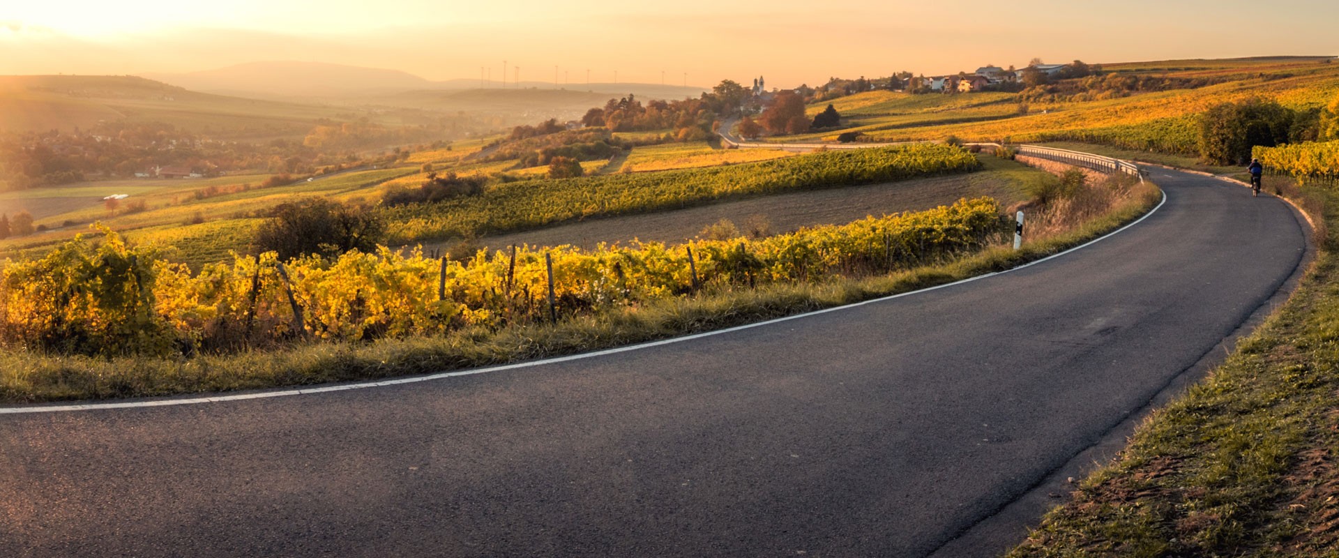 Retrouvez l’esprit de la route des vins